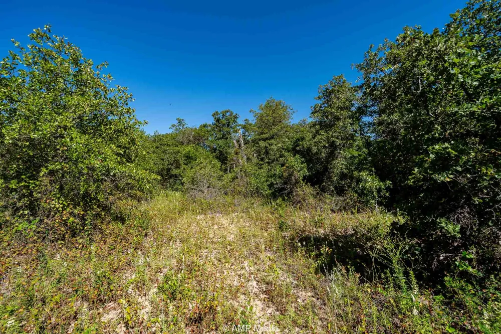 County Road 240 Rising Star, TX 76471