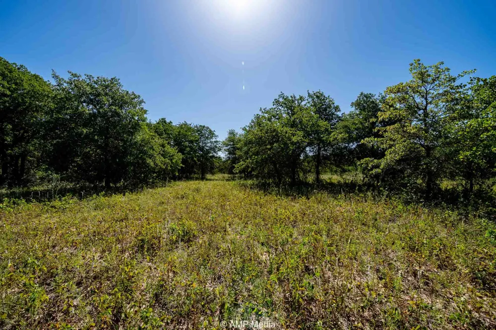 County Road 240 Rising Star, TX 76471