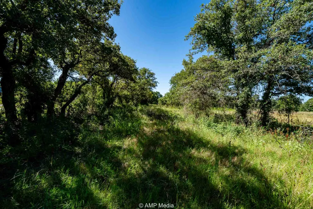 County Road 240 Rising Star, TX 76471