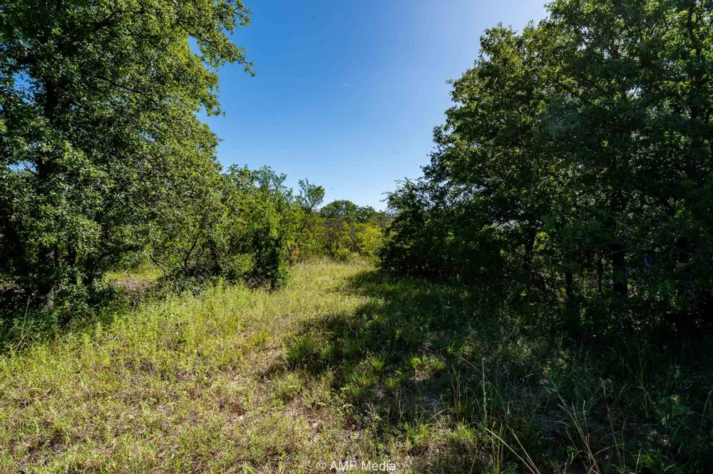 County Road 240 Rising Star, TX 76471