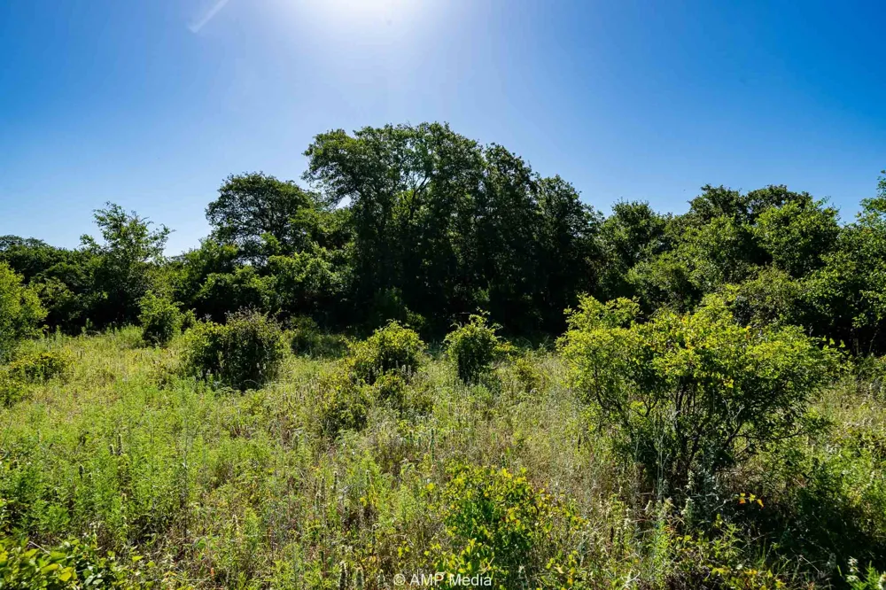 9999 County Road 240 Rising Star, TX 76471