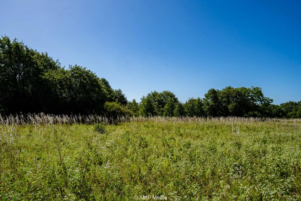 9999 County Road 240 Rising Star, TX 76471