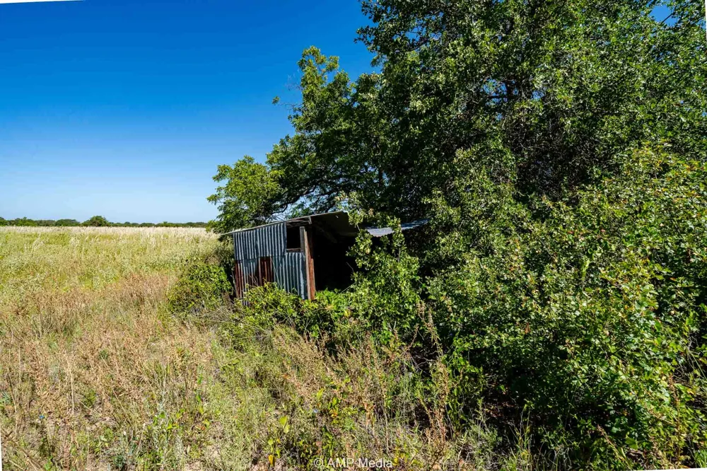 9999 County Road 240 Rising Star, TX 76471