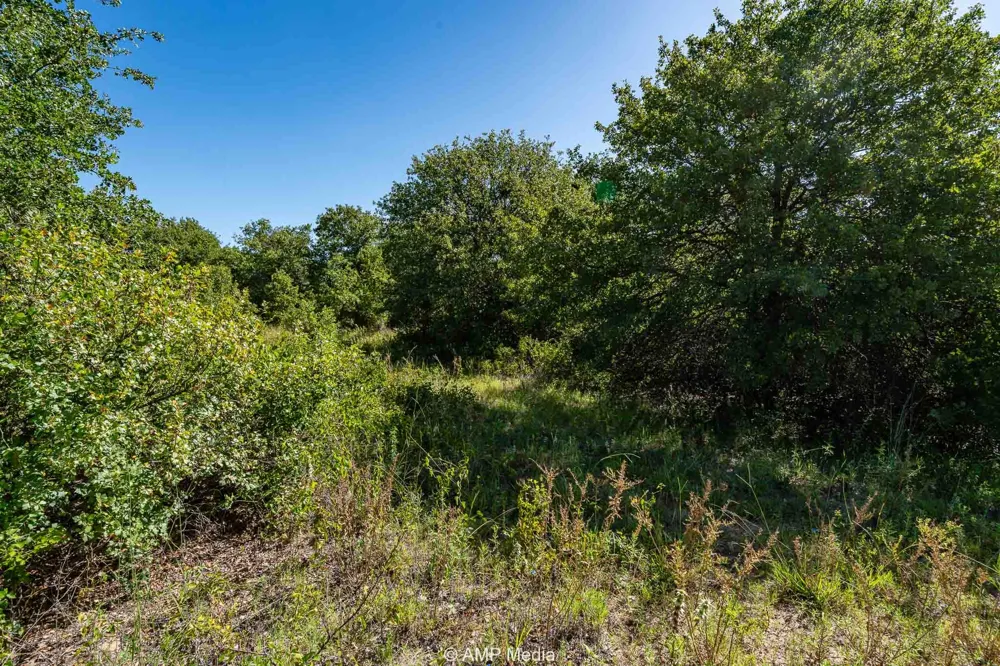 9999 County Road 240 Rising Star, TX 76471