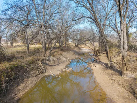 60 County Road 446