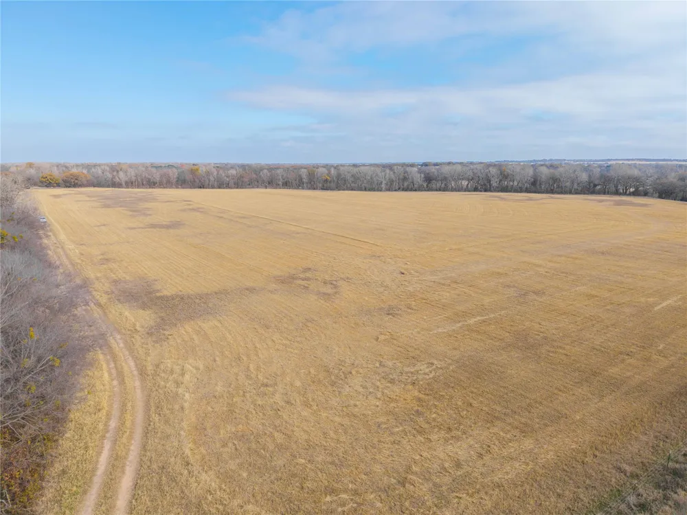 60 County Road 446 De Leon, TX 76444