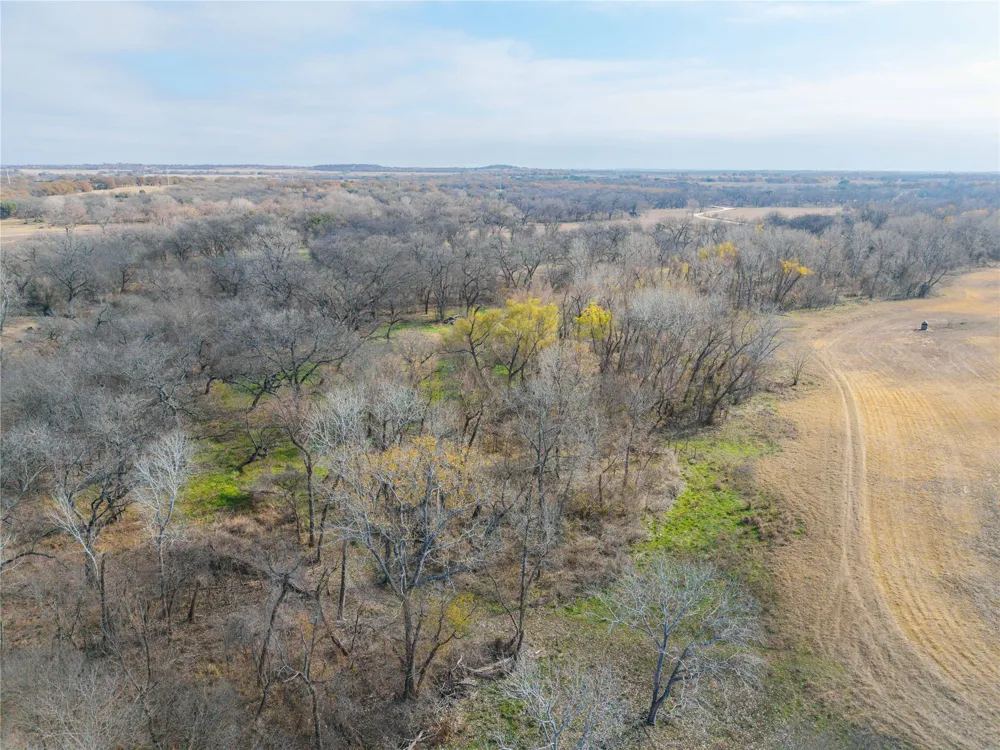 60 County Road 446 De Leon, TX 76444