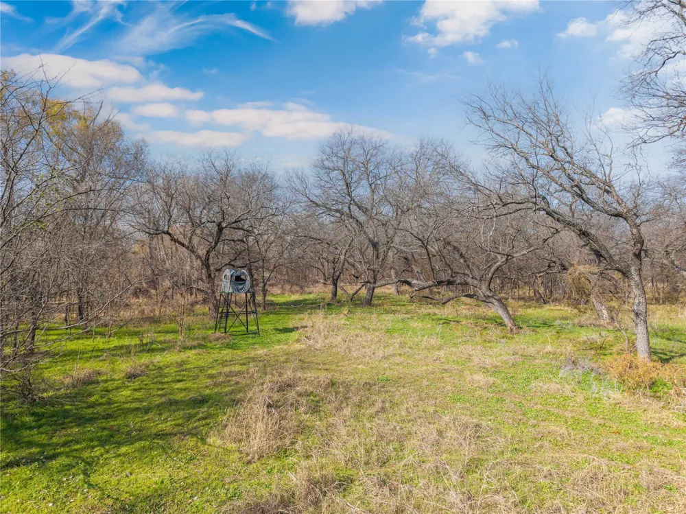60 County Road 446 De Leon, TX 76444