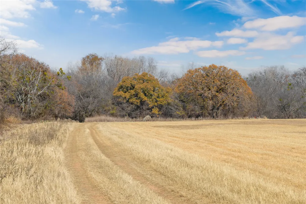 60 County Road 446 De Leon, TX 76444