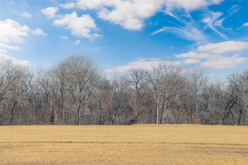 60 County Road 446 De Leon, TX 76444