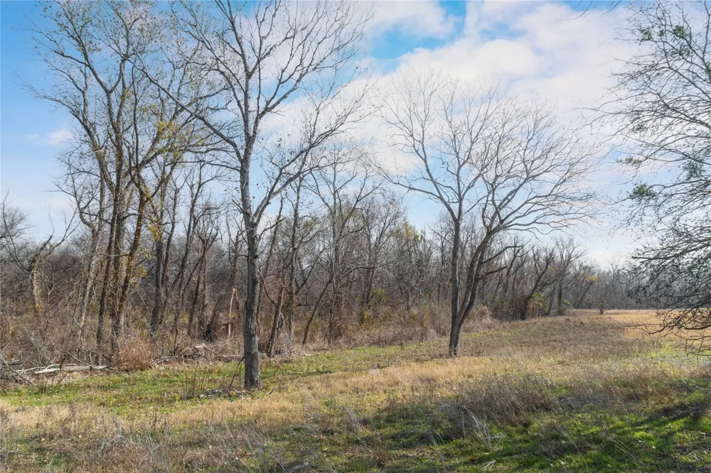 60 County Road 446 De Leon, TX 76444