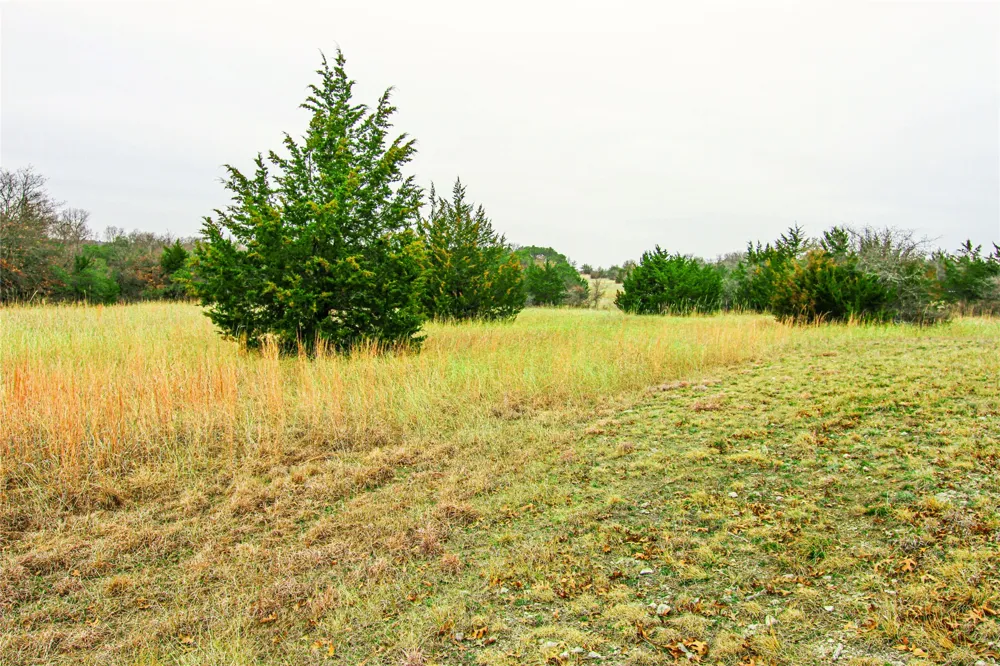 Merritt Road Forestburg, TX 76239