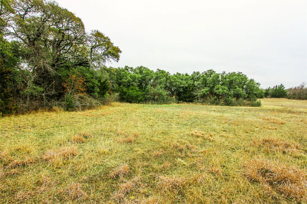 Merritt Road Forestburg, TX 76239