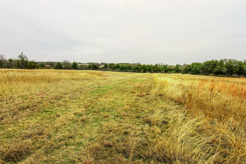 Merritt Road Forestburg, TX 76239