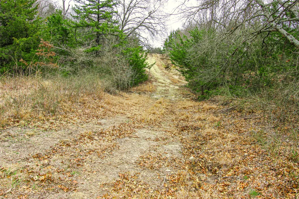 Merritt Road Forestburg, TX 76239