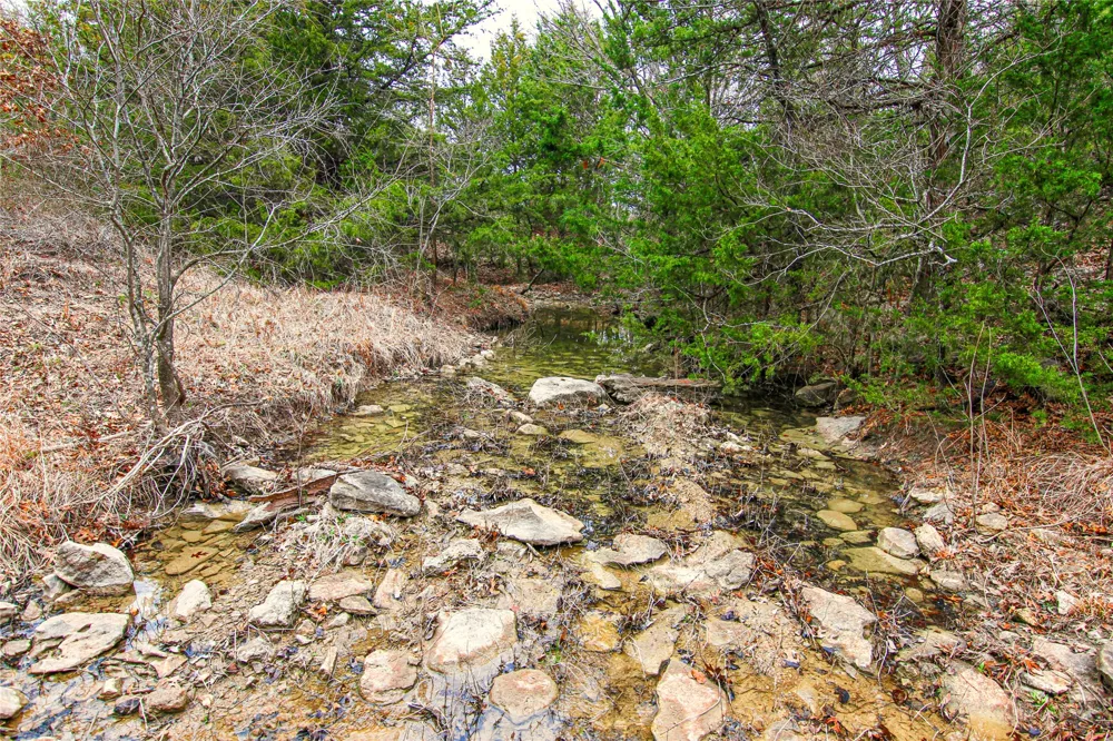 Merritt Road Forestburg, TX 76239