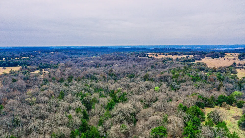 Merritt Road Forestburg, TX 76239