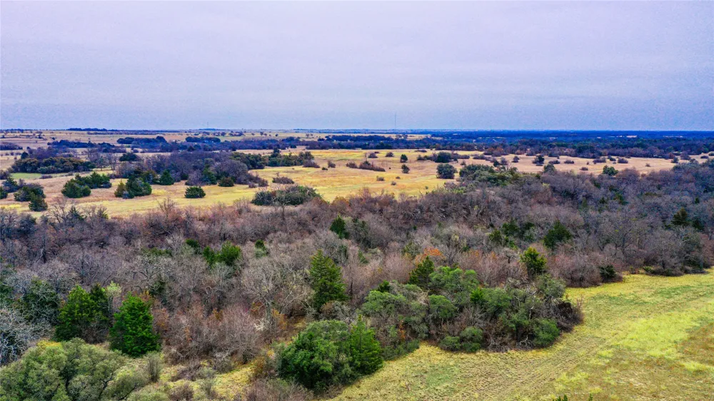 Merritt Road Forestburg, TX 76239