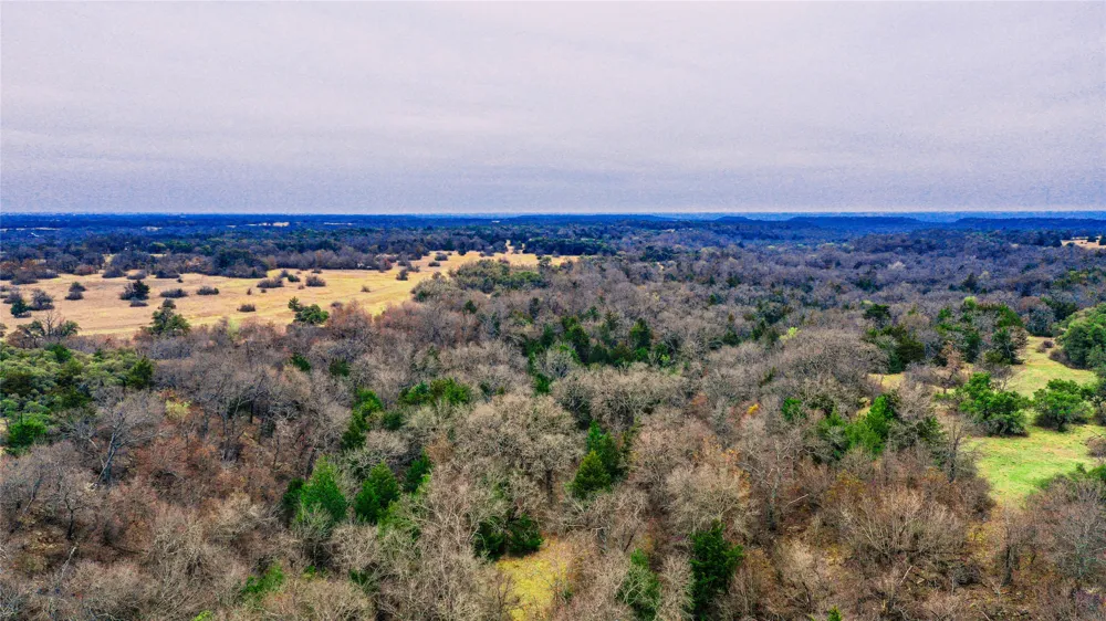 Merritt Road Forestburg, TX 76239