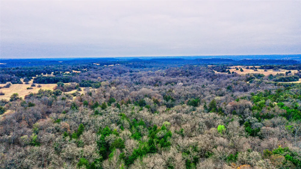 Merritt Road Forestburg, TX 76239