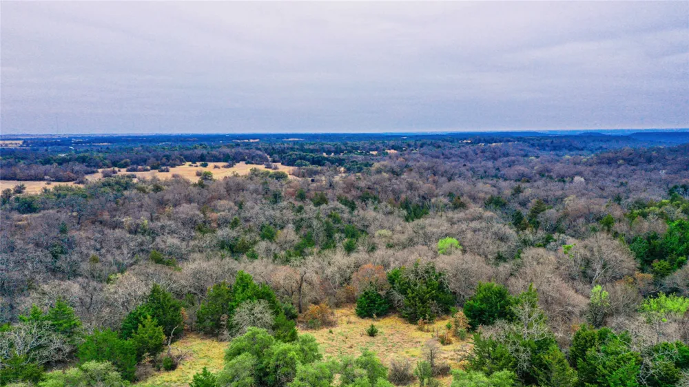 Merritt Road Forestburg, TX 76239