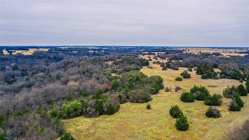 Merritt Road Forestburg, TX 76239