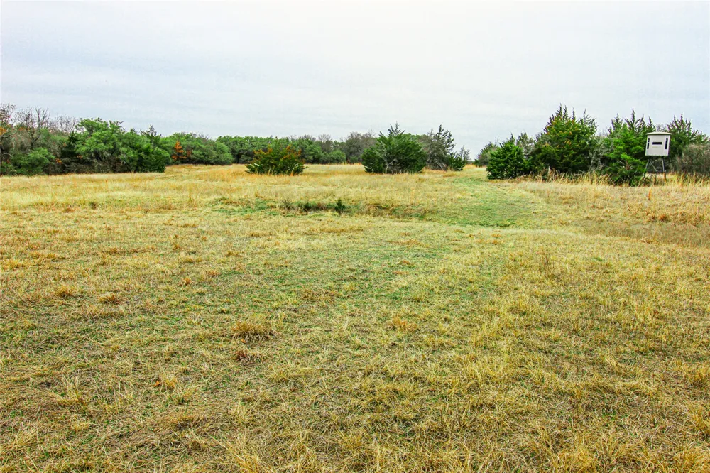 Merritt Road Forestburg, TX 76239
