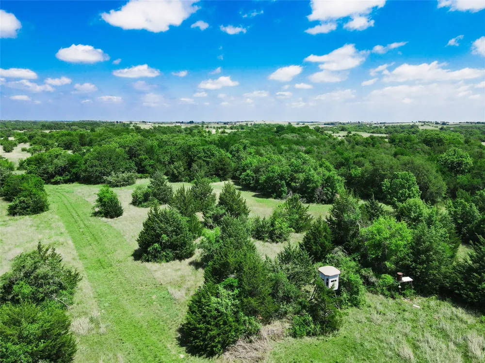 Merritt Road Forestburg, TX 76239