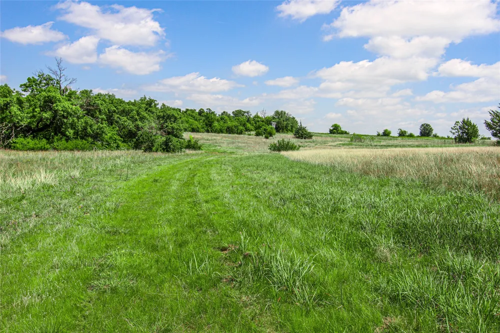Merritt Road Forestburg, TX 76239