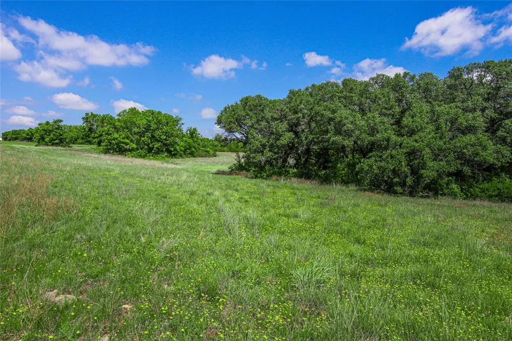 Merritt Road Forestburg, TX 76239