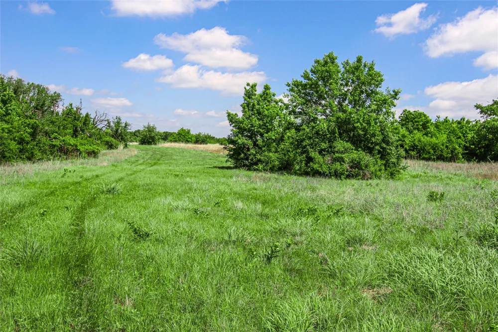 Merritt Road Forestburg, TX 76239