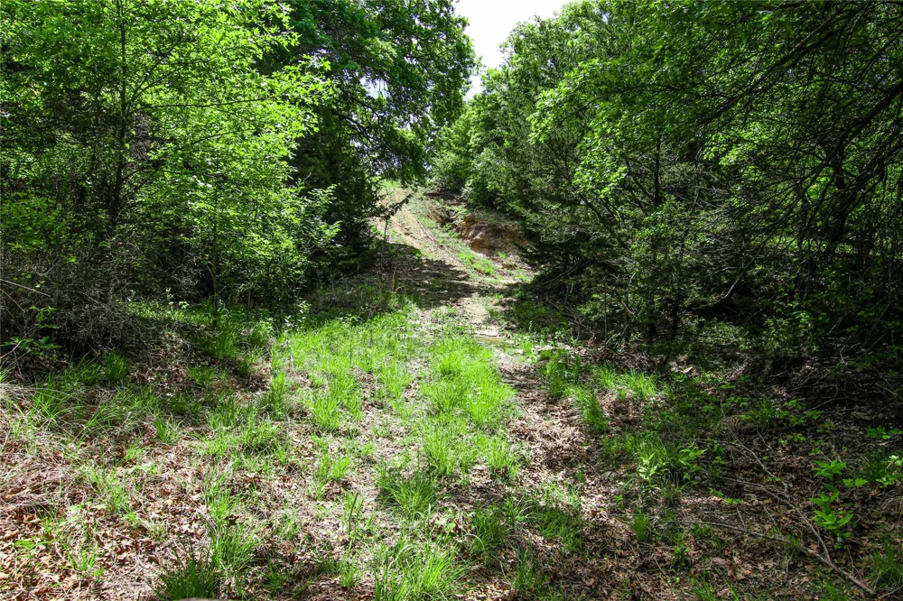 Merritt Road Forestburg, TX 76239