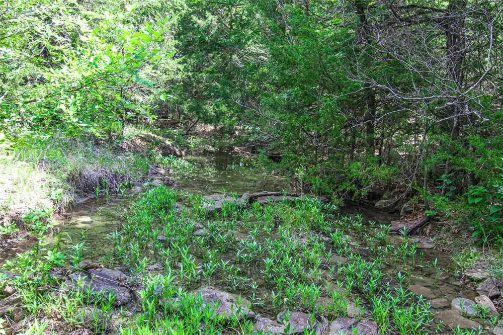 Merritt Road Forestburg, TX 76239
