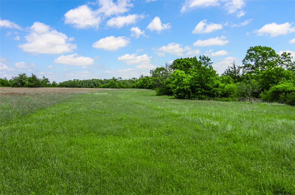 Merritt Road Forestburg, TX 76239