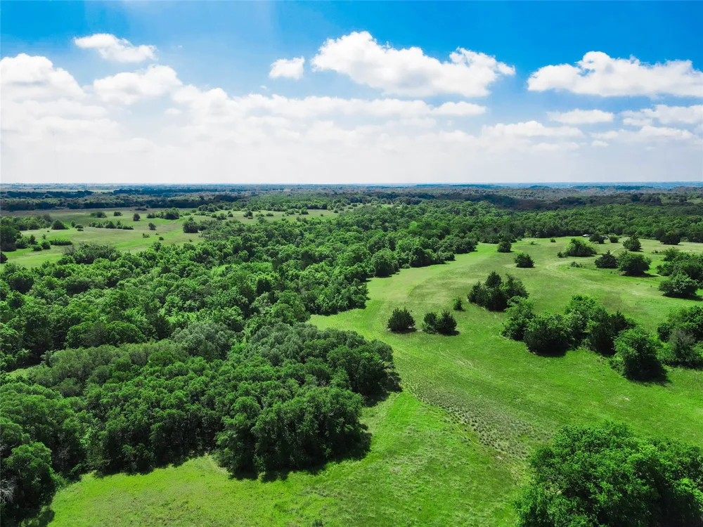 Merritt Road Forestburg, TX 76239