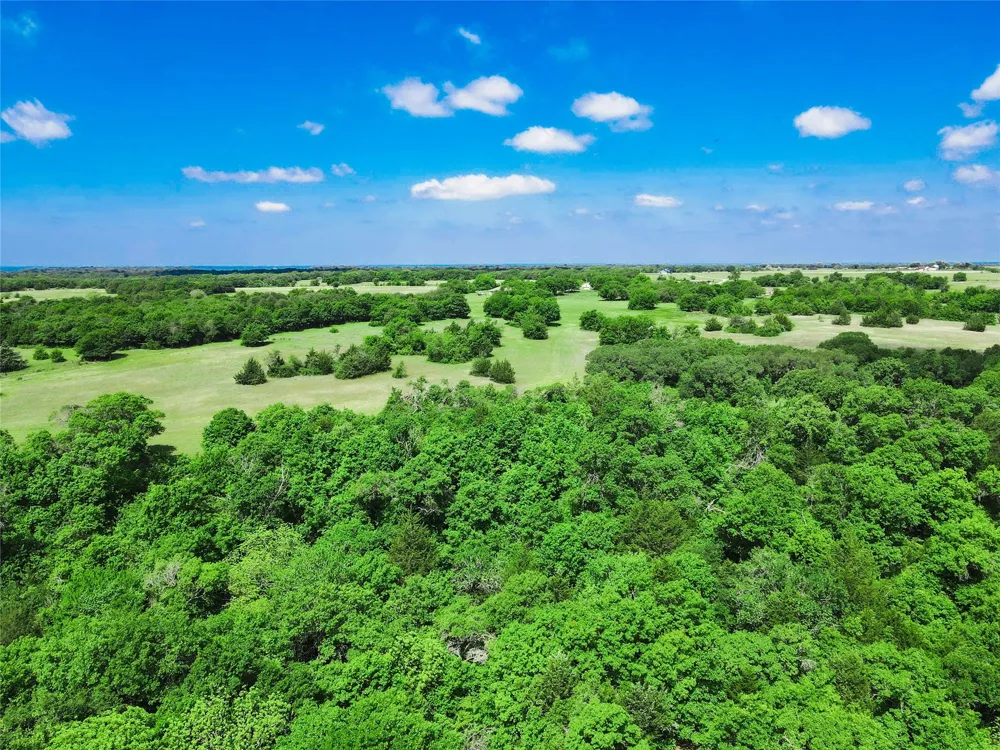 Merritt Road Forestburg, TX 76239