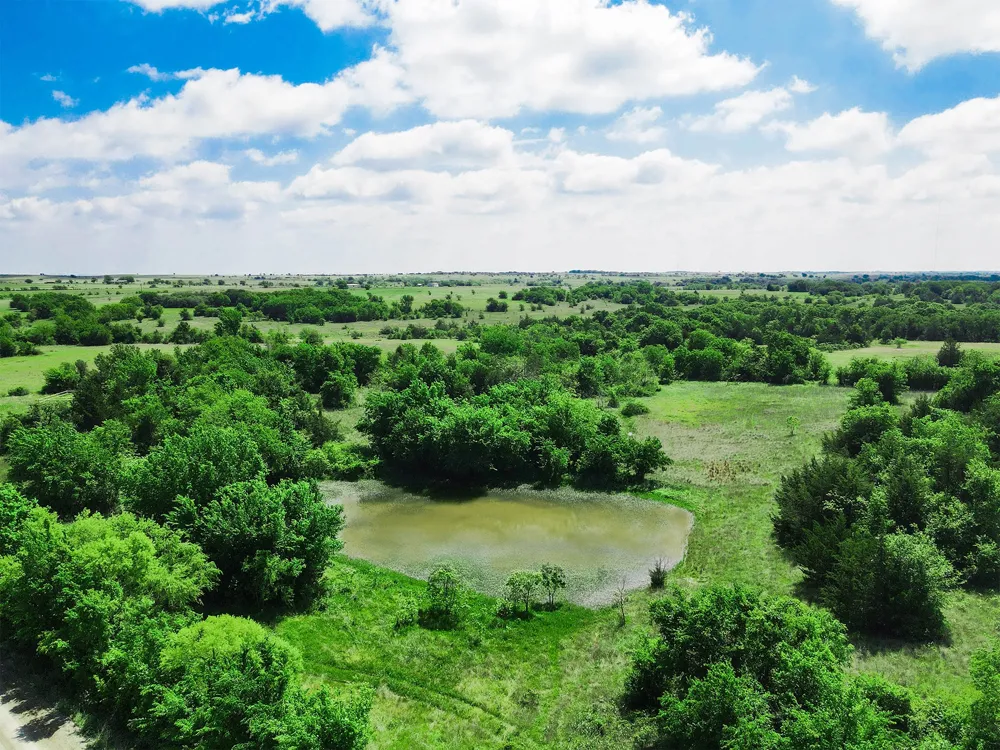 Merritt Road Forestburg, TX 76239