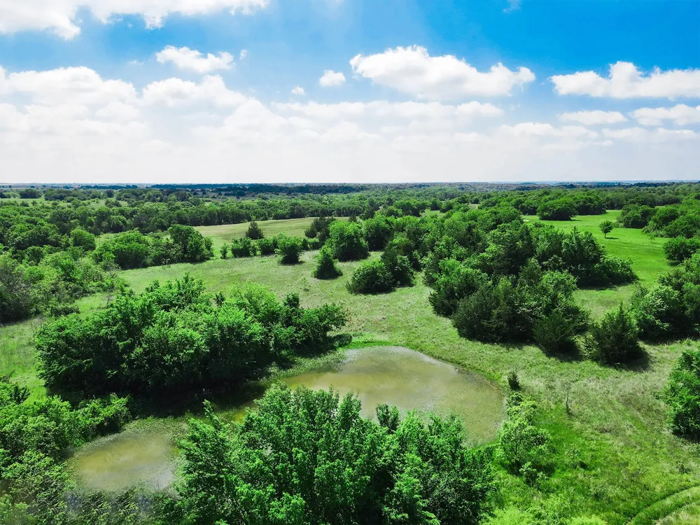 Merritt Road Forestburg, TX 76239