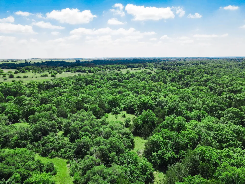 Merritt Road Forestburg, TX 76239