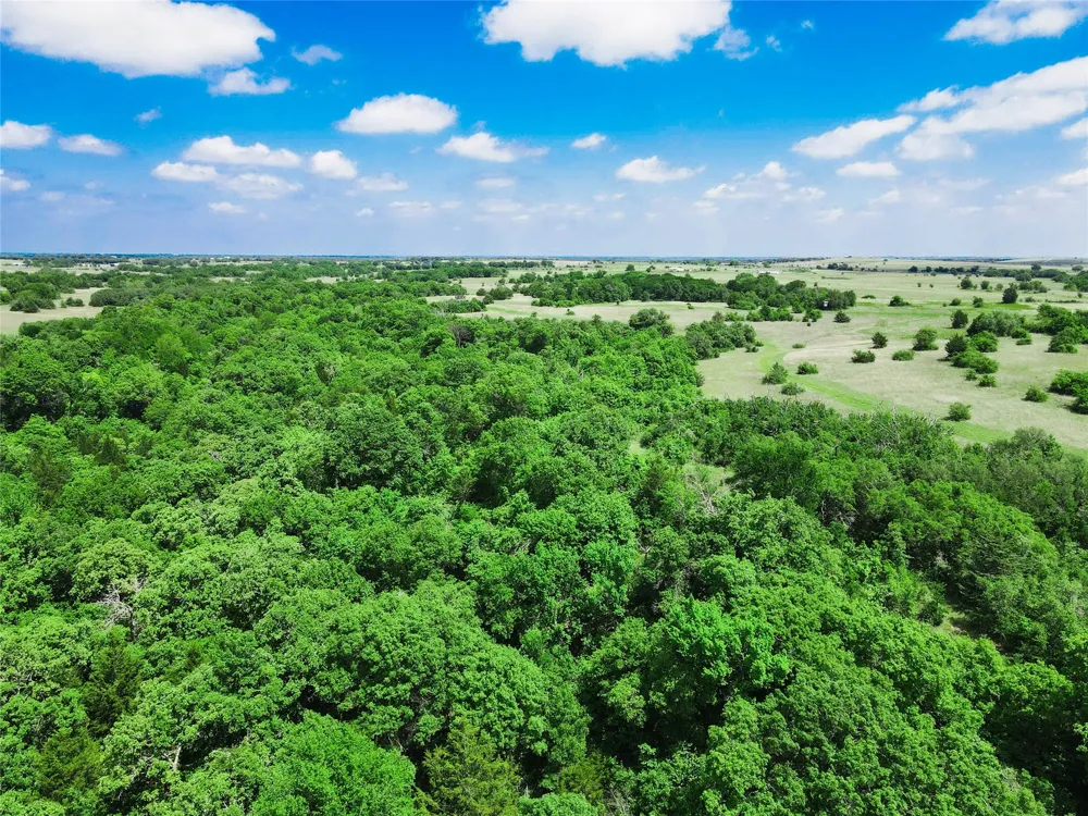 Merritt Road Forestburg, TX 76239