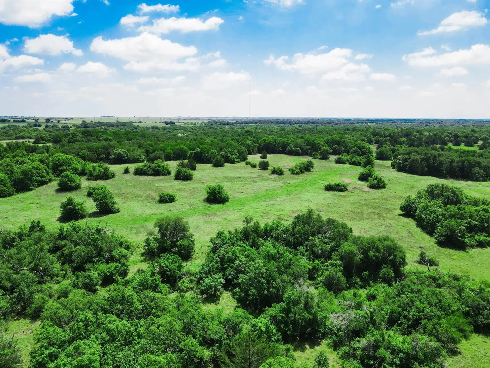 Merritt Road Forestburg, TX 76239