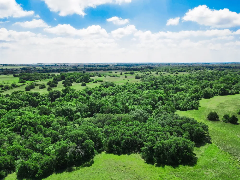 Merritt Road Forestburg, TX 76239