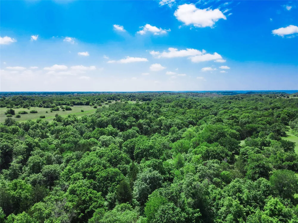Merritt Road Forestburg, TX 76239