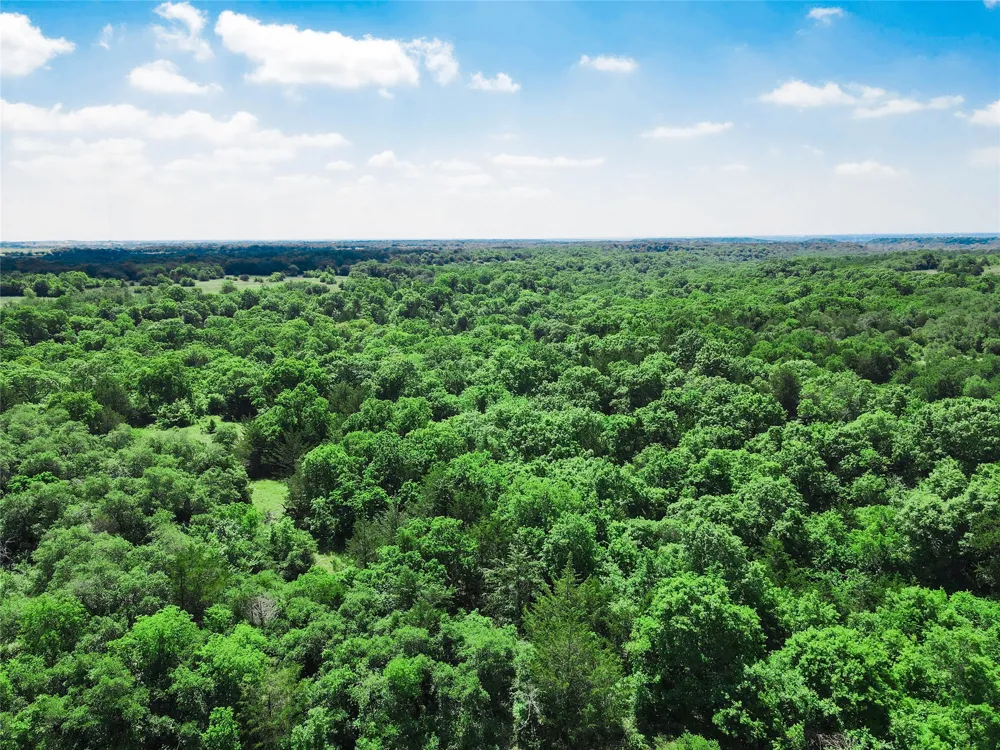 Merritt Road Forestburg, TX 76239