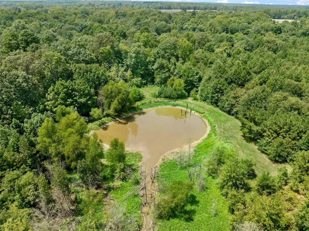12025 FM 195 Bagwell, TX 75412
