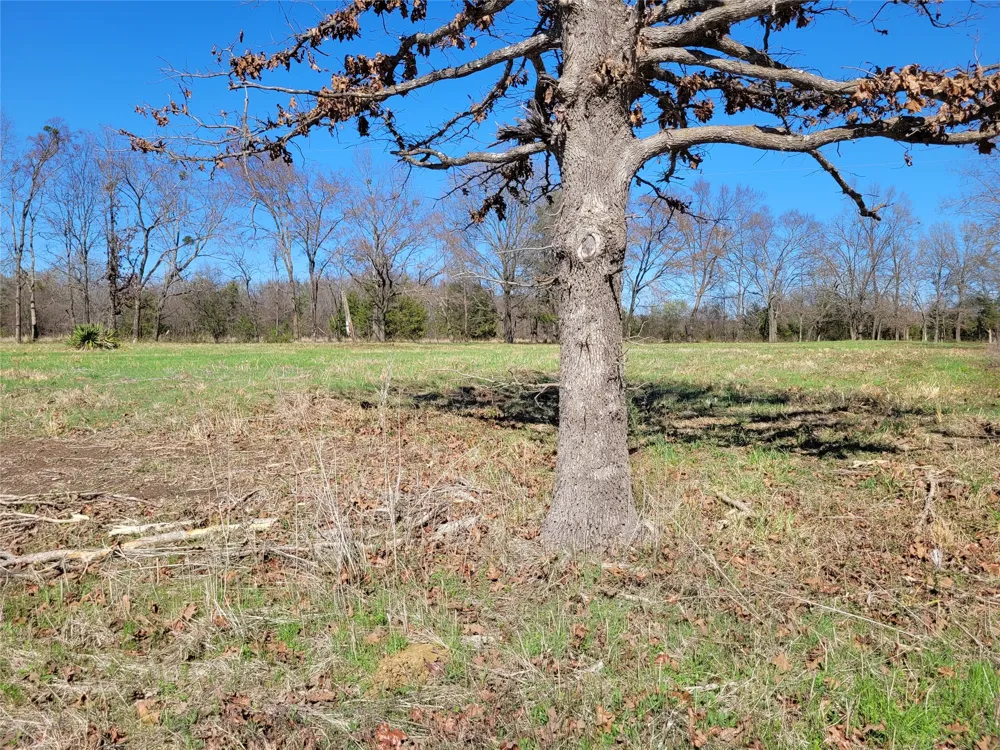 County Road 2140 Detroit, TX 75436