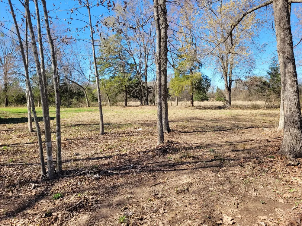 County Road 2140 Detroit, TX 75436