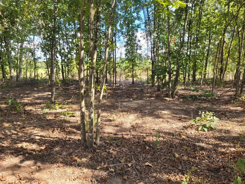 County Road 2140 Detroit, TX 75436