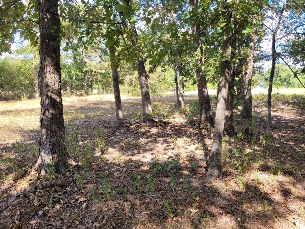 County Road 2140 Detroit, TX 75436