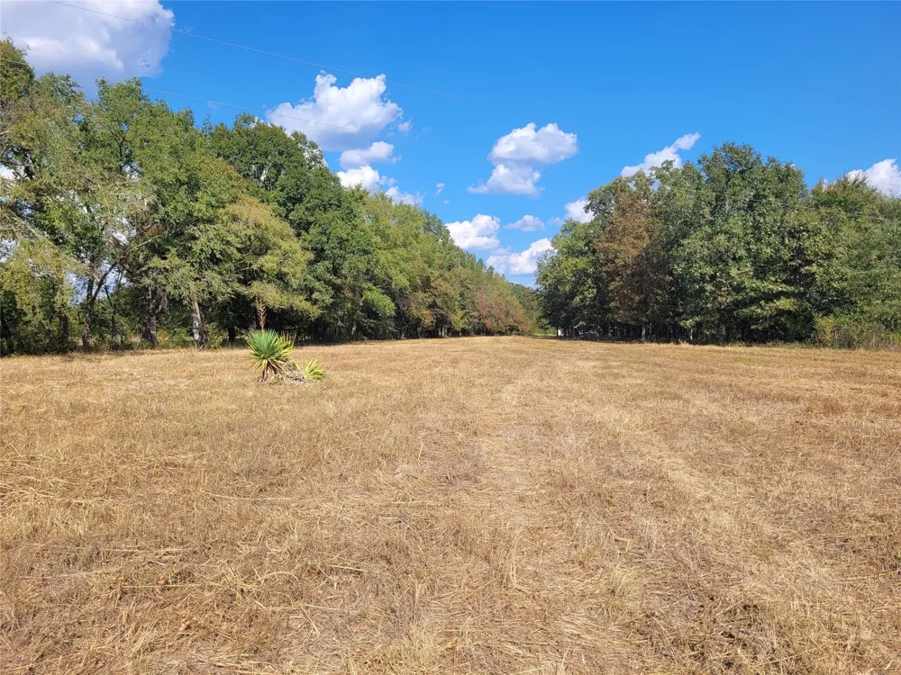 County Road 2140 Detroit, TX 75436